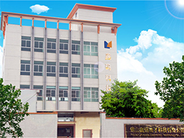 公司介绍